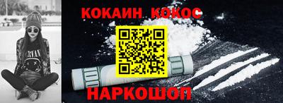 индика Можга