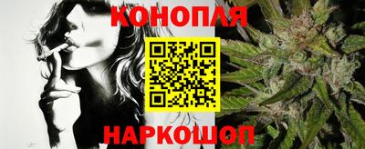 индика Можга
