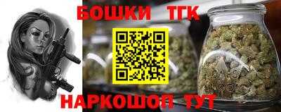 индика Можга