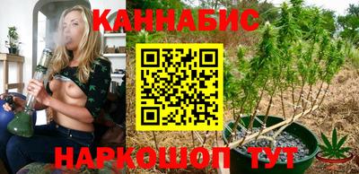 индика Можга