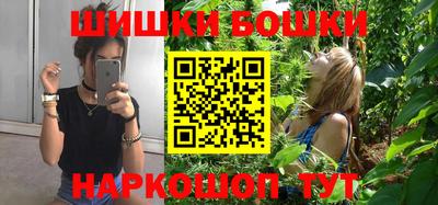 индика Можга
