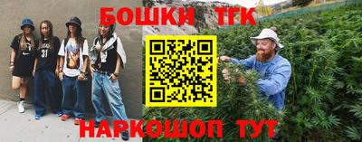 индика Можга
