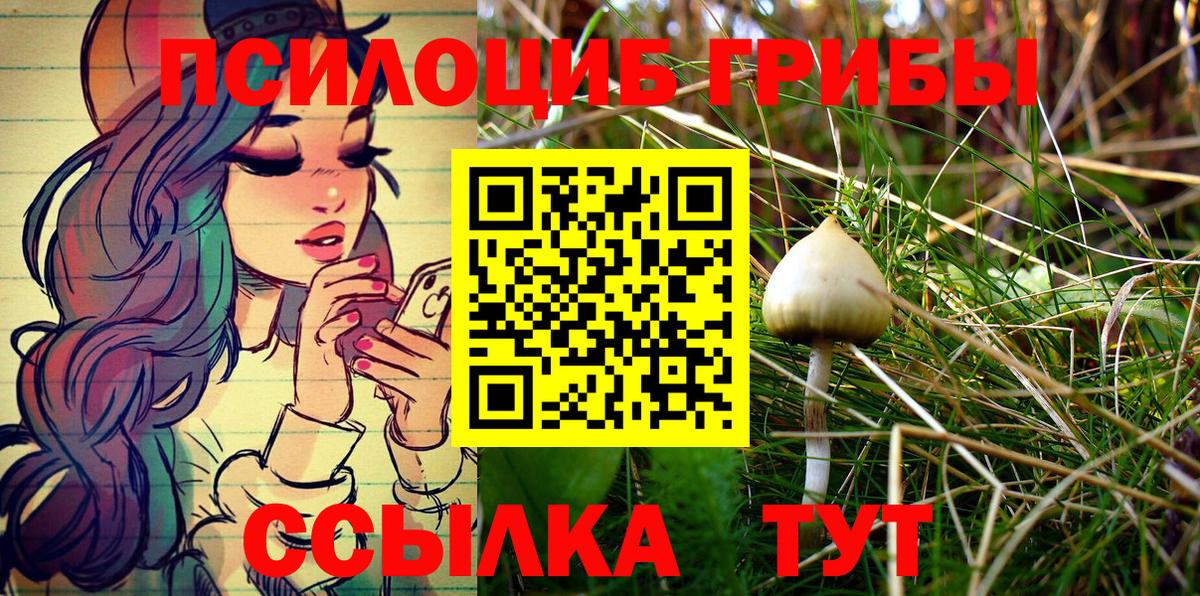 Галлюциногенные грибы GOLDEN TEACHER Тамбов