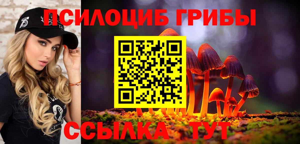 Тамбов  Псилоцибиновые грибы Magic Shrooms  Вход с VPN 