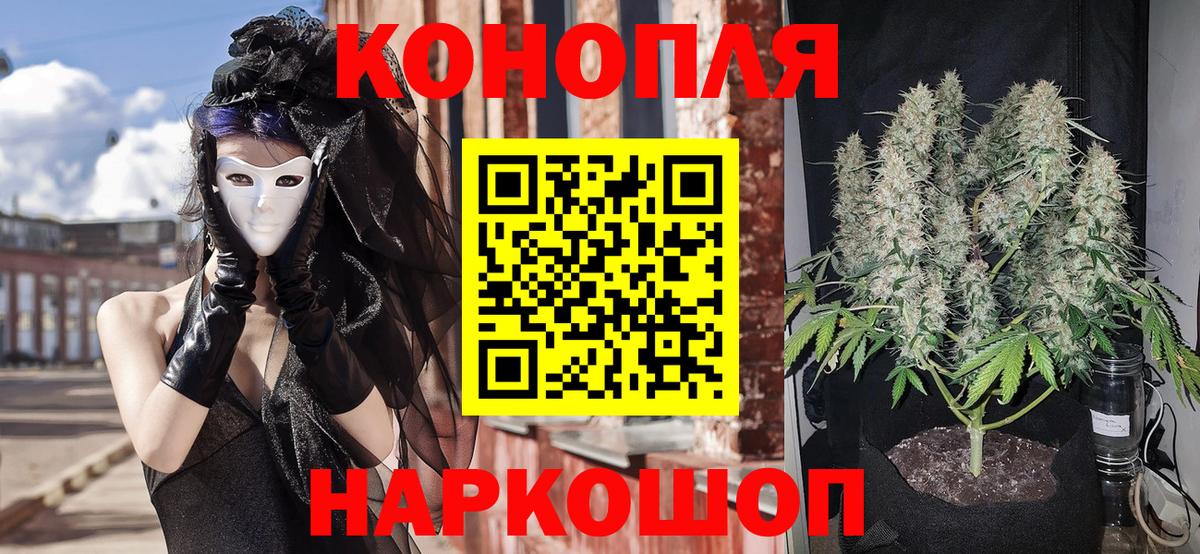 Бошки Шишки сатива Тамбов